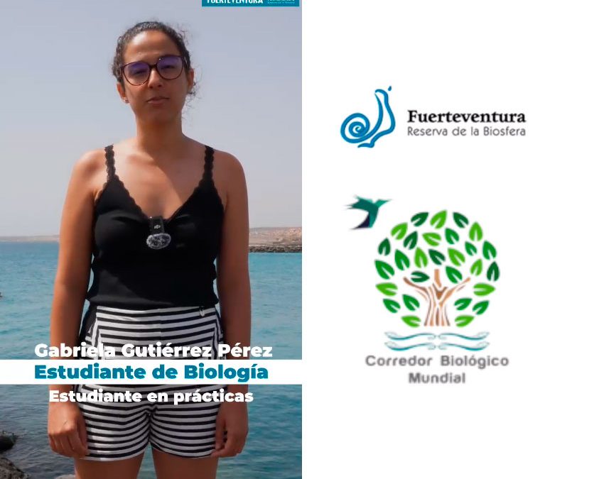 Becas de formación práctica del Cabildo de Fuerteventura en el Departamento de la Reserva de la Biosfera