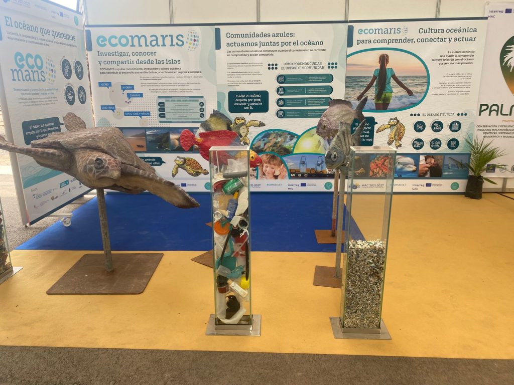 Ecosistemas marinos Fuerteventura conservación