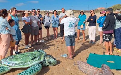 Abierta la convocatoria de voluntariado ambiental para la Campaña Cofete 2026: Monitorización de tortugas y plásticos