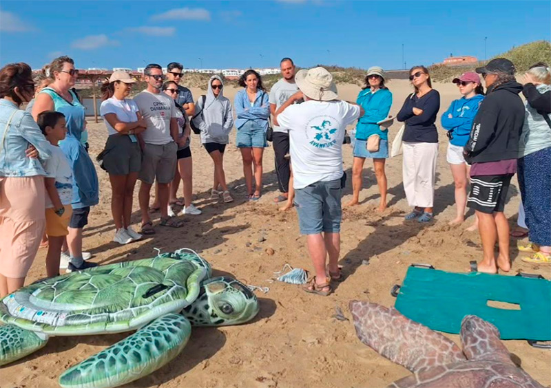 Abierta la convocatoria de voluntariado ambiental para la Campaña Cofete 2026: Monitorización de tortugas y plásticos